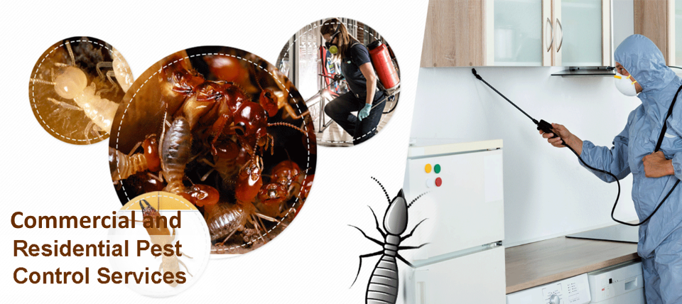 Commercial and residential pest control